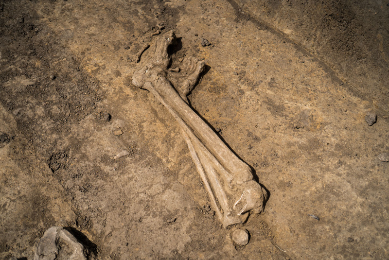 Novinky / Stavba košickej rýchlocesty napreduje: budujeme násypy, betónujeme piliere - foto Novinky / Stavba košickej rýchlocesty napreduje: budujeme násypy, betónujeme piliere - foto