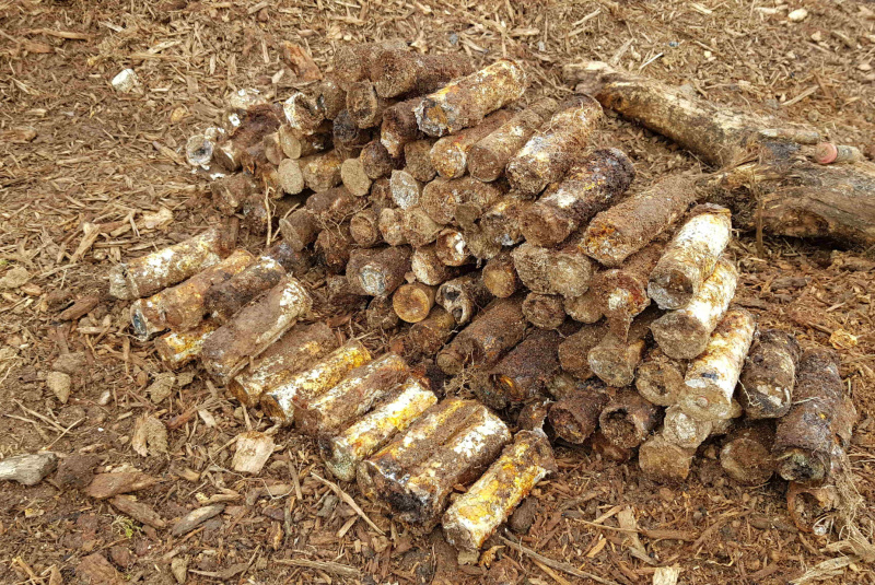 Novinky / Je za nami pyrotechnický prieskum - foto Novinky / Je za nami pyrotechnický prieskum - foto